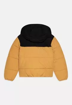 Зимняя куртка PUFFER Timberland, цвет Tan