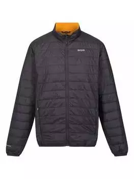 Зимняя куртка Regatta, цвет schiefer