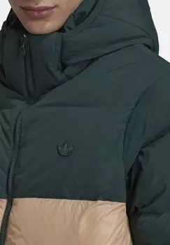 Зимняя куртка REGEN adidas Originals, зеленый