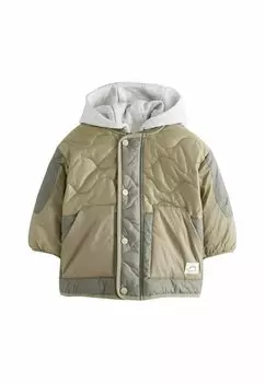 Зимняя куртка REGULAR FIT - ONION QUILT WITH REMOVABLE Next, зеленый