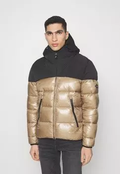 Зимняя куртка Replay, цвет earth