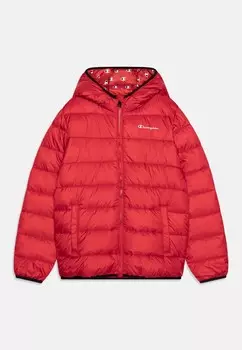 Зимняя куртка SCRIPT SHOP HOODED CONTRAST SMALL LOGO UNISEX Champion, красный