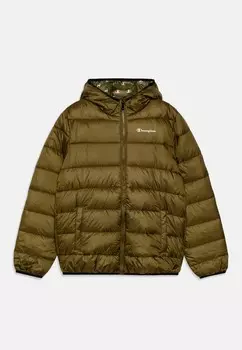 Зимняя куртка SCRIPT SHOP HOODED CONTRAST SMALL LOGO UNISEX Champion, темно-зеленый