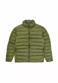 Зимняя куртка Selected Homme БАРРИ, цвет forest night