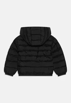 Зимняя куртка SHIELD PADDED UNISEX GANT, черный