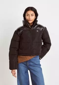 Зимняя куртка SHINY CROPPED PUFFER Calvin Klein Jeans, черный