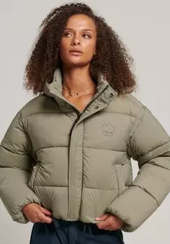 Зимняя куртка Superdry Cocoon, светлый темно-зеленый