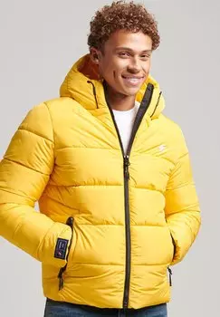 Зимняя куртка Superdry, цвет volt