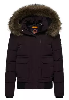 Зимняя куртка Superdry Everest, фиолетовый