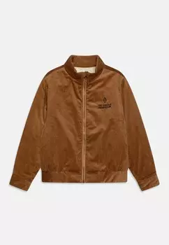 Зимняя куртка TIGER UNISEX THE ANIMALS OBSERVATORY, светло-коричневый