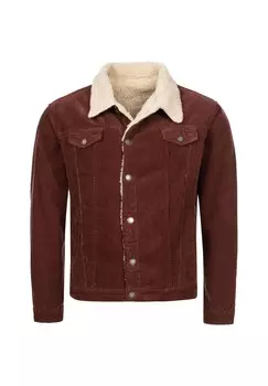Зимняя куртка вельветовая куртка Rock Creek, цвет Ocker
