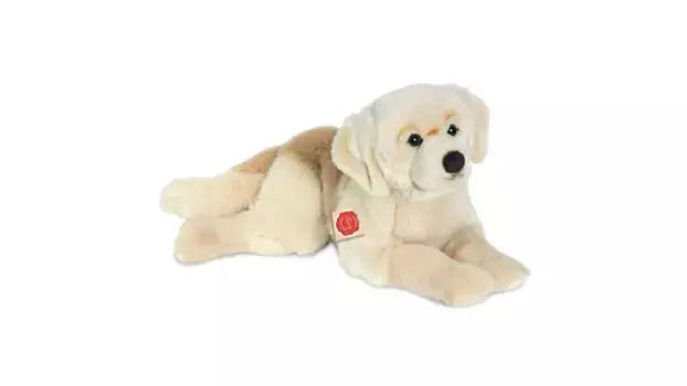 Золотистый ретривер 60 см