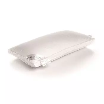 Золотые боксерские подушки 40/80 65% WGD 425 размер HNL Living