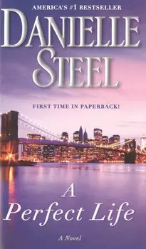 A Perfect Life (м) Steel