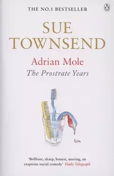 Adrian Mole The Prostrate Years