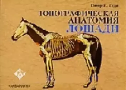 Аквар.Топографич.анатомия лоша