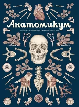 Анатомикум
