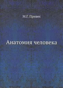 Анатомия человека