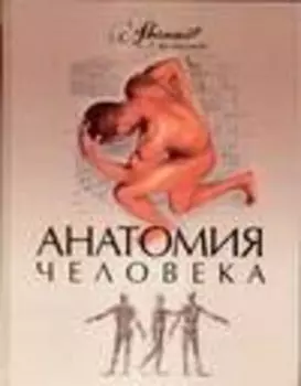 Анатомия человека