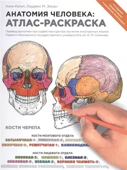 Анатомия человека: атлас-раскраска. 4 -е изд.