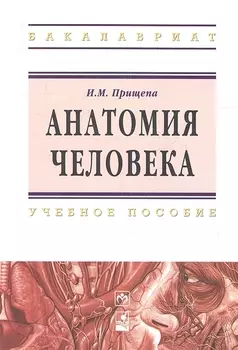 Анатомия человека Учебное пособие