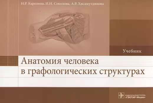 Анатомия человека в графологических структурах Учебник