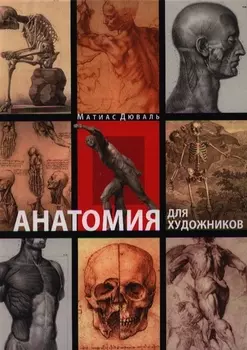 Анатомия для художников