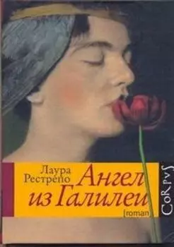 Ангел из Галилеи : роман