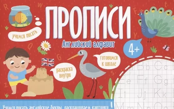 Английский алфавит. Прописи