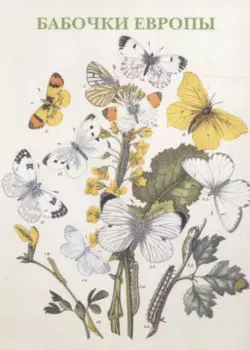 Бабочки Европы Набор открыток (упаковка)