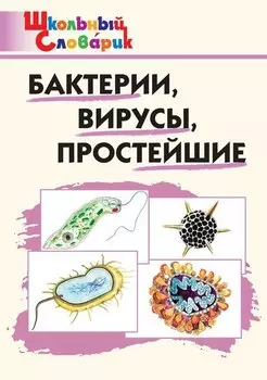 Бактерии, вирусы, простейшие. Начальная школа