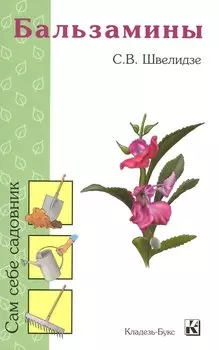 Бальзамины.