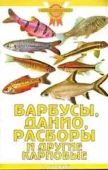 Барбусы, данио, расборы и другие карповые