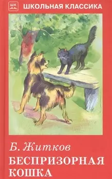 Беспризорная кошка