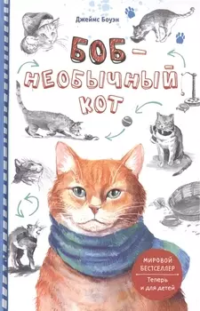 Боб - необычный кот