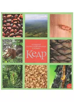 Большой иллюстрированный словарь "Кедр"