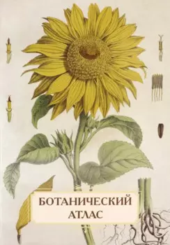 Ботанический атлас. Н.П. Животовский