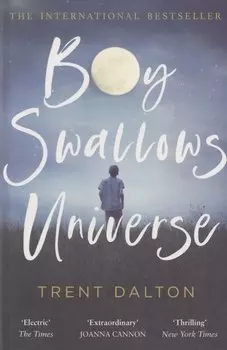 Boy Swallows Universe