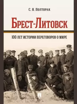 Брест-Литовск. 100 лет истории переговоров о мире: монография
