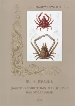 Царство животных Членистые Ракообразные