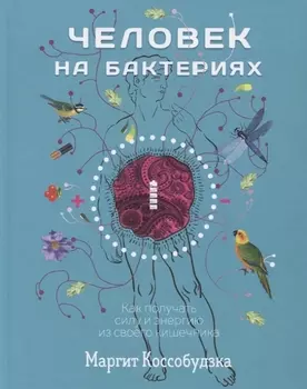 Человек на бактериях: как получить силу и энергию из своего кишечника