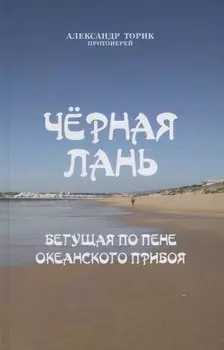 Черная лань, бегущая по пене океанского прибоя