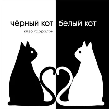 Черный кот, белый кот