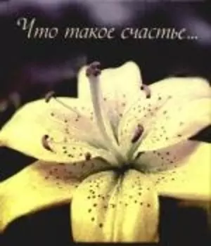 Что такое счастье…