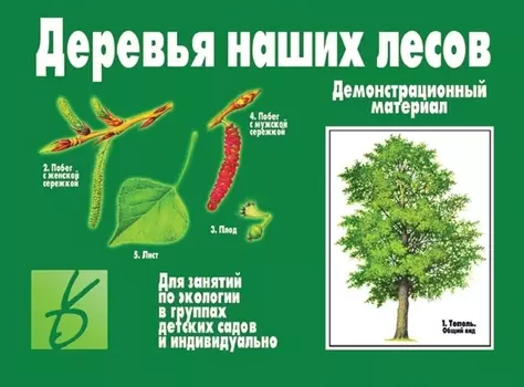 Деревья наших лесов. Демонстрационный материал для занятий по экологии в группах детских садов и индивидуально