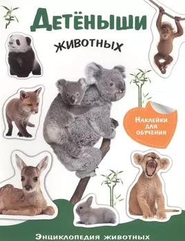 Детеныши животных