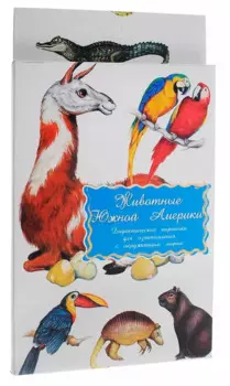 Дидактические карточки Животные Южной Америки