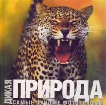 Альбом. "Дикая природа": Самые лучшие фотографии