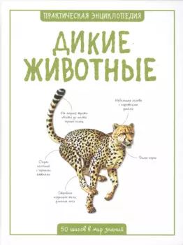 Дикие животные