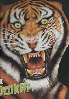 Дикие животные. Дикие кошки